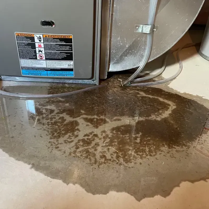 Appliance Leak Cleanup in Walton County, FL